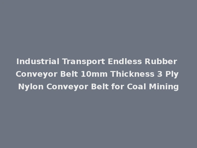 Industrial Transport Endless Rubber Conveyor Belt 10mm Thickness 3 Ply Nylon Conveyor Belt for Coal Mining