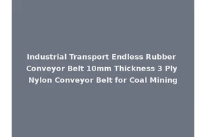 Industrial Transport Endless Rubber Conveyor Belt 10mm Thickness 3 Ply Nylon Conveyor Belt for Coal Mining