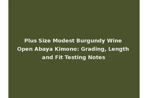 Fashion Dress Clothes Long Sleeve Wine Red Lady Evening Dresses
